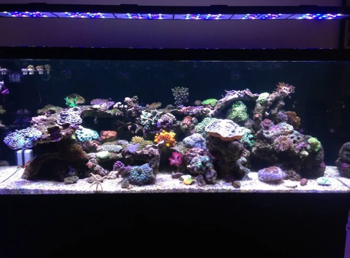 685147ffb7dc2045f211450b